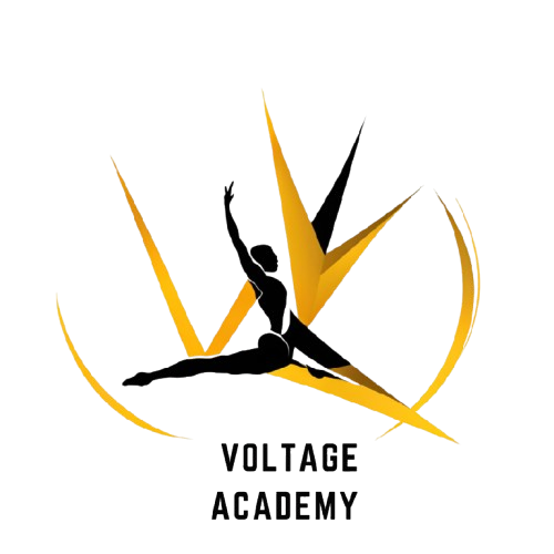 Voltage Academy Logo